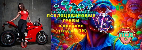 ГАЛЛЮЦИНОГЕННЫЕ ГРИБЫ Навашино