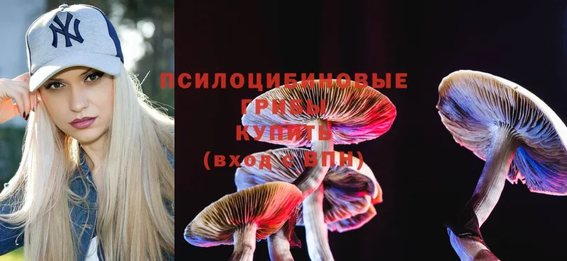 Галлюциногенные грибы MAGIC MUSHROOMS Калтан