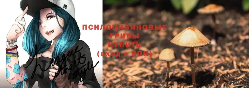 Галлюциногенные грибы MAGIC MUSHROOMS  Калтан 